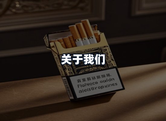 关于我们